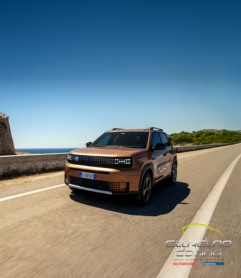 grande-panda-hibrido